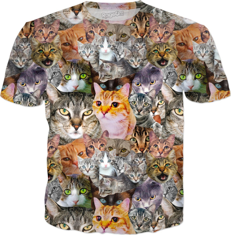 CATS